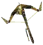 Mu